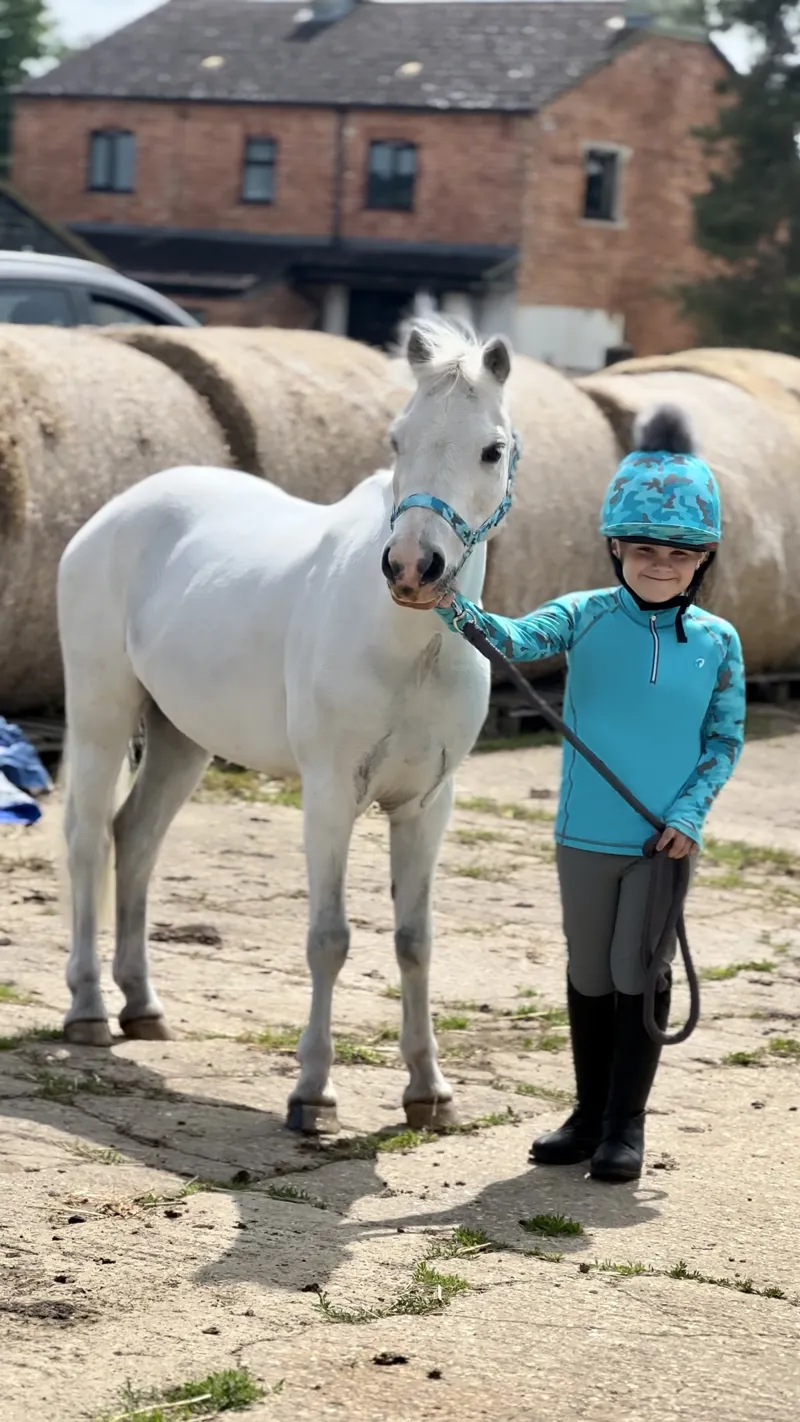 Hy Equestrian DynaForce Hat Cover - Pacific/Grey-2